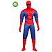 Costume Adulto Ragno Royal (con Muscoli) Di Pegasus Tg. L - Foto miniatura 1