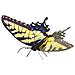 Fascinations Metal Earth Butterfly Tiger Swallowtail Puzzle Di Metallo 3d - Foto miniatura 1