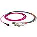 Cavo Patch A 12 Fibre Multiconnessione Mtp-f / lc Om4 2m - Foto miniatura 1