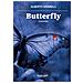 Alberto Vivarelli - Butterfly - Foto miniatura 1