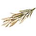 Erba Decorativa Artificiale Beige /sabbia 2 Steli 130 Cm - Foto miniatura 1