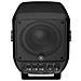 STAGEPAS 100BTR Sistema PA indipendente 100 W Nero - Foto miniatura 1