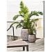 Pianta Artificiale Grass Plant In Pe Verde — H 89 Cm Con Vaso - Foto miniatura 4