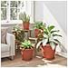 Vaso Rotondo per Fiori 24 pcs Rosso Mattone Ø 26 x 21.5 cm - Foto miniatura 4