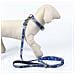 Collare Per Cani Blu Scuro Xs /s - Foto miniatura 4