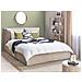 Letto Matrimoniale Contenitore Velluto Beige 160 X 200 Cm Bajonna - Foto miniatura 1