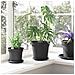 Vaso Rotondo per Fiori 6 pcs Nero Ø 19 x 16 cm Plastica - Foto miniatura 4