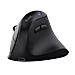 Vyran Mouse ergonomico multi-wireless e hyperscroll - Nero - Foto miniatura 1