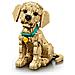 ICONS 11384 Cucciolo di Golden Retriever, Kit di Modellismo Adulti con Animale 3D, Decorazione Fai da Te, Idea Regalo - Foto miniatura 2