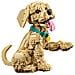 ICONS 11384 Cucciolo di Golden Retriever, Kit di Modellismo Adulti con Animale 3D, Decorazione Fai da Te, Idea Regalo - Foto miniatura 4