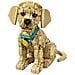 ICONS 11384 Cucciolo di Golden Retriever, Kit di Modellismo Adulti con Animale 3D, Decorazione Fai da Te, Idea Regalo - Foto miniatura 14