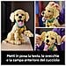 ICONS 11384 Cucciolo di Golden Retriever, Kit di Modellismo Adulti con Animale 3D, Decorazione Fai da Te, Idea Regalo - Foto miniatura 20