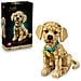 ICONS 11384 Cucciolo di Golden Retriever, Kit di Modellismo Adulti con Animale 3D, Decorazione Fai da Te, Idea Regalo - Foto miniatura 25