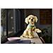 ICONS 11384 Cucciolo di Golden Retriever, Kit di Modellismo Adulti con Animale 3D, Decorazione Fai da Te, Idea Regalo - Foto miniatura 38