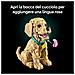 ICONS 11384 Cucciolo di Golden Retriever, Kit di Modellismo Adulti con Animale 3D, Decorazione Fai da Te, Idea Regalo - Foto miniatura 40