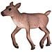 Statuina Pianeta Animale Cucciolo Di Renna - Foto miniatura 1