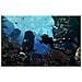 Call of Duty: Ghosts - Xbox One - [ Edizione: Francia] - Foto miniatura 2