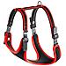 Ergocomfort P Pett. Rosso L= A: 50÷60 Cm - B: 70÷80 Cm - Foto miniatura 3