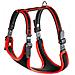 Ergocomfort P Pett. Rosso L= A: 50÷60 Cm - B: 70÷80 Cm - Foto miniatura 1
