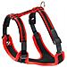Ergocomfort P Pett. Rosso L= A: 50÷60 Cm - B: 70÷80 Cm - Foto miniatura 2