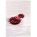 Sacchetto Di Carta Decorativo - Regalo - Dolci - Rosso - 11,5 X 5,3 Cm - Foto miniatura 1