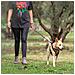Guinzaglio Per Cani Rosso M - Foto miniatura 6