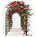 Arco Da Giardino Supporto Per Rose Piante Rampicanti In Metallo Altezza 240 Cm - Foto miniatura 4