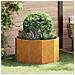 Fioriera Ruggine 90 x 90 x 50 cm - Foto miniatura 2