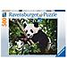 Puzzle 500 Pezzi Panda - Ravensburger (16989)  - Foto miniatura 1