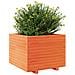 Fioriera Giardino Marrone Cera 60x60x49,5cm Legno Massello Pino - Foto miniatura 7