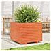 Fioriera Giardino Marrone Cera 60x60x49,5cm Legno Massello Pino - Foto miniatura 8