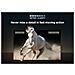 V6C 55V6C TV 139,7 cm (55") 4K Ultra HD Smart TV Wi-Fi Metallico 270 cd /m² - Foto miniatura 11