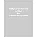 Daniele D'aguanno - Insegnare L'italiano Scritto. Idee E Modelli Per La Didattica Nelle Scuole Superiori - Foto miniatura 1