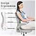 Sedia Da Ufficio Con Supporto Lombare, Sedia Ufficio Ergonomica Con Braccioli Regolabili In Rete Traspirante, Poltrona Da Ufficio Altezza Regolabile E Schienale Inclinabile, Gris - Foto miniatura 3