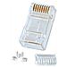 Connettore RJ-45 Maschio UTP Confezione da 10 Pezzi - Foto miniatura 1