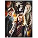 Puzzle Set Harry Potter 42 X 28 Cm 3000 Pezzi - Foto miniatura 3