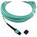 Qsrcable30m-bo Cavo A Fibre Ottiche 30 M Mpo Om3 Colore Menta - Foto miniatura 3