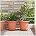 Vassoio Rotondo per Fiori 6 pcs Rosso Mattone Ø 19 x 2 cm - Foto miniatura 2