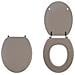 20717957 - Sedile Wc Color Line, Grigio Talpa - Foto miniatura 1
