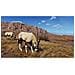 Videogioco Playstation 5 Nordic Way Of The Hunter: Hunting Season One - Foto miniatura 4