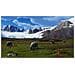 Videogioco Playstation 5 Nordic Way Of The Hunter: Hunting Season One - Foto miniatura 7