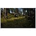 Videogioco Per Xbox Series X Nordic Way Of The Hunter: Hunting Season One - Foto miniatura 2