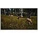 Videogioco Per Xbox Series X Nordic Way Of The Hunter: Hunting Season One - Foto miniatura 5