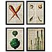 Set Di 4 Stampe Vintage Collage Sfondo Vecchio Foglio Di Giornale Con Varie E Verdure: Carote Asparagi Carciofi E Ravanelli Senza Cornice A4 - Foto miniatura 1