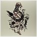 Deafheaven - Roads To Judah - Foto miniatura 1