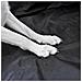 Car Boot Liner Della Protezione Del Respingente Per I Cani Ss4612 Universale 106 X 97 X 37 Centimetri Easy Fit Heavy Duty Pulire Regolabile Antiscivolo Strappo Prova Mantiene Carpet Da Muddy Paws Acqua Spazzatura Strumento Shopping - Foto miniatura 2