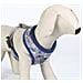 Imbracatura Per Cani S /m Blu Scuro - Foto miniatura 6