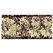 10ml - Paillettes Con Forma A Stella In Alluminio - Colore Oro - Foto miniatura 1