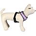 Imbracatura Per Cani Disney Grigio - Foto miniatura 6