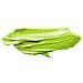 Pack 6 Uds. Pittura Ad Olio Expert 50 Ml Verde Chiaro - Foto miniatura 2